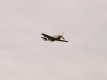 P-51D Mustang