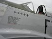 P-51D Mustang "Little Horse"