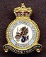 RAF Brawdy Pin