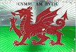 Welsh Flag Postcard