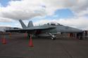 EA-18G Growler ~ VAQ-129 Vikings