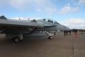 EA-18G Growler ~ VAQ-129 Vikings
