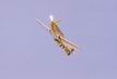 P-51K-5NT Mustang