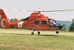 HH-65A Dauphin