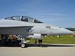 F/A-18F Super Hornet