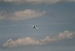 F/A-18F Super Hornet