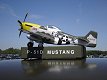 P-51D Mustang Model