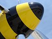 P-51K Mustang ~ Donna-mite