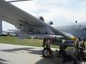 A-10A Thunderbolt II 78-625 ~ 118th FS