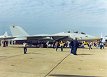 F-14 Tomcat