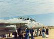 F-14 Tomcat