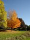 Minnesota Autumn