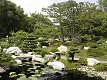 Como Ordway Memorial Japanese Garden
