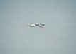 Thunderbirds - F-16C Fighting Falcon