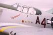 P-51C Mustang "Tuskegee Airmen"