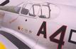 P-51C Mustang "Tuskegee Airmen"