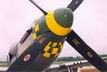 P-51D Mustang "Gunfighter"