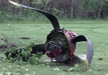 P-51C Mustang "Tuskegee Airmen"