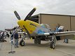 P-51D Mustang - Dazzling Donna