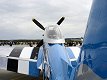 P-51D Mustang - Dazzling Donna