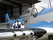 P-51D Mustang - Dazzling Donna