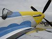 P-51D Mustang - Dazzling Donna