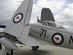 Sea Fury TMk. 20