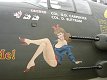 B-25 Mitchell's