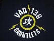 VAQ-136 Gauntlets T-Shirt