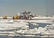 NAF Atsugi Snow Storm