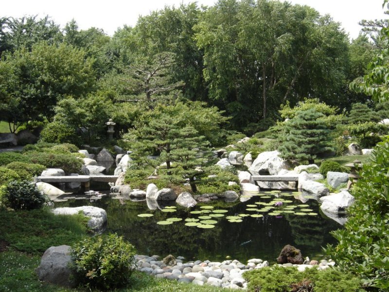 Minneapolis Minnesota Como Ordway Memorial Japanese Garden St